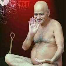 Aacharya Vidhyasagar